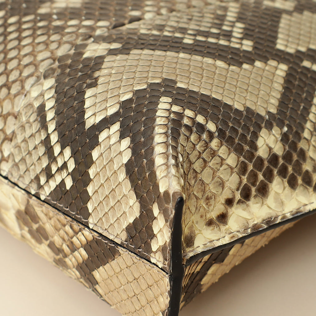Loewe Bicolor Python Repeat T Pouch
