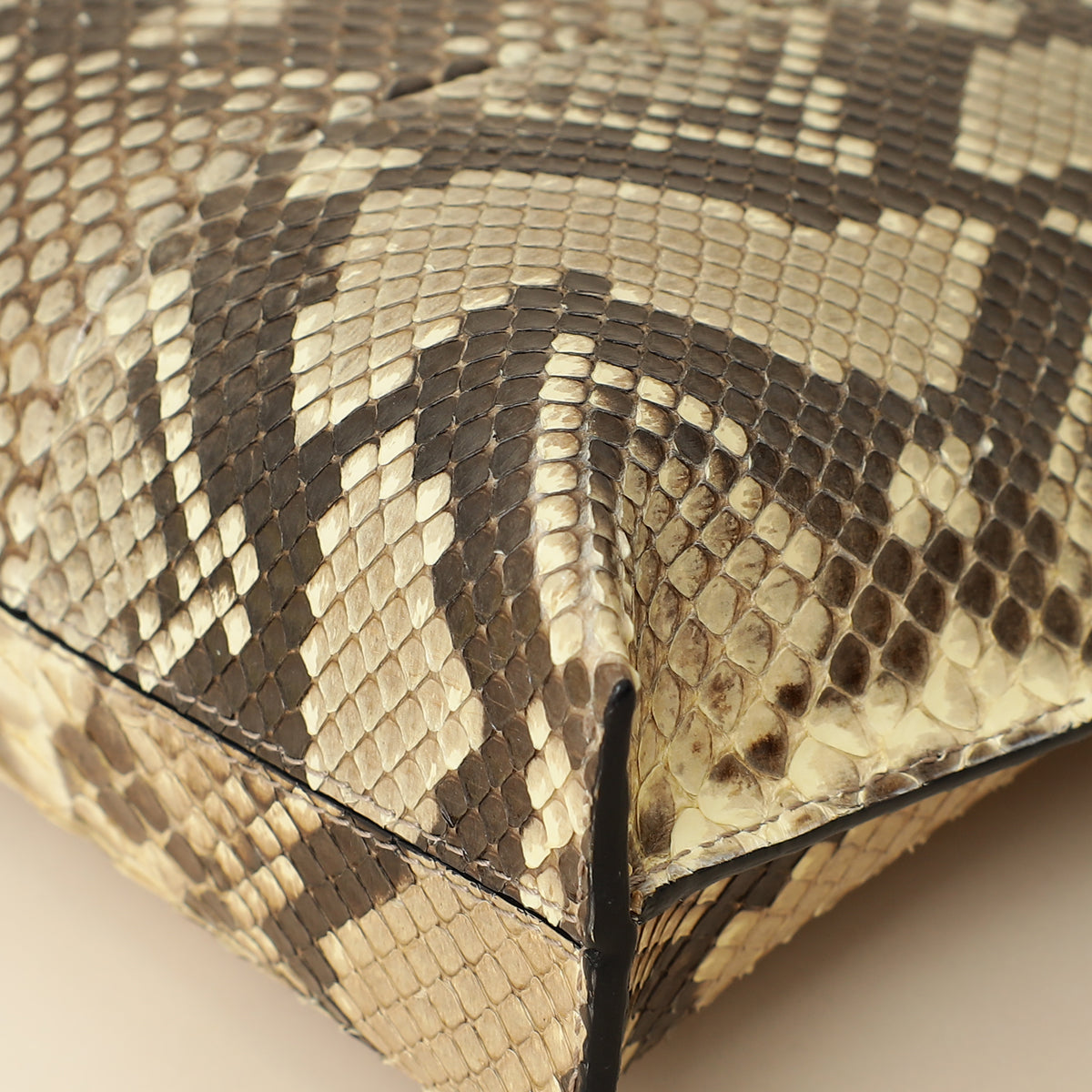 Loewe Bicolor Python Repeat T Pouch