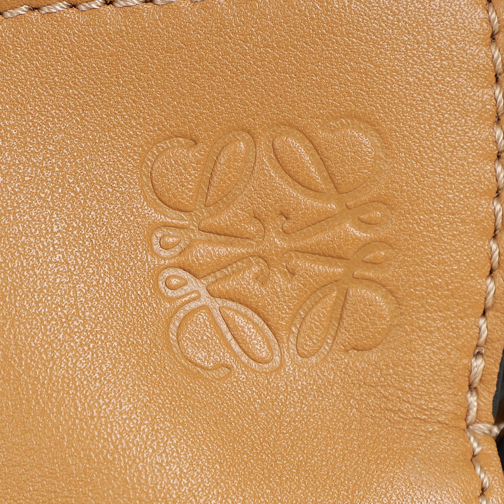 Loewe Warm Desert Flamenco Clutch Mini Shoulder Bag