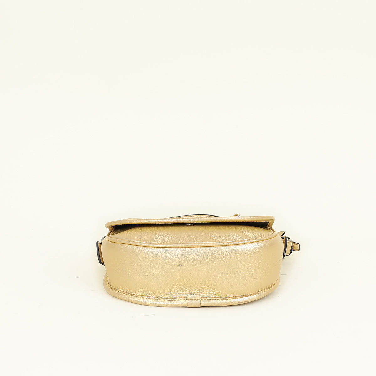 Loewe Metallic Gold Heritage Crossbody Bag