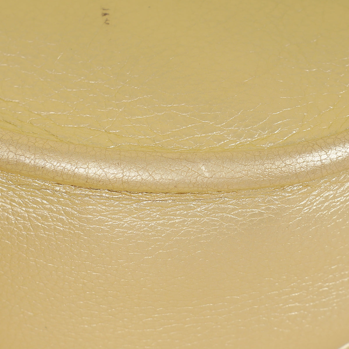 Loewe Metallic Gold Heritage Crossbody Bag