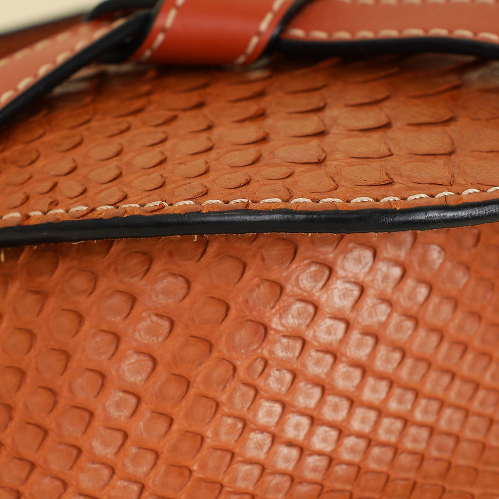 Loewe Brown Python Mini Gate Bag