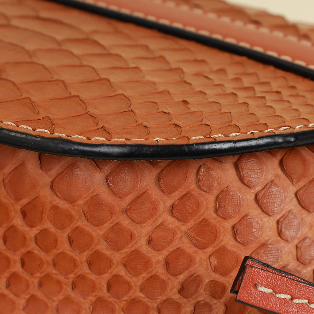 Loewe Brown Python Mini Gate Bag