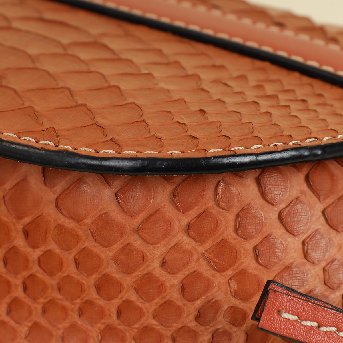 Loewe Brown Python Mini Gate Bag