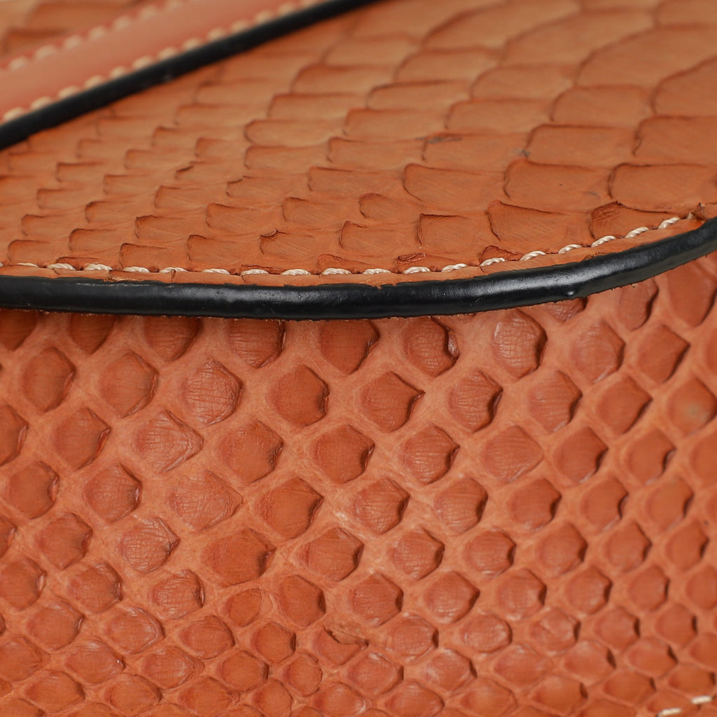 Loewe Brown Python Mini Gate Bag