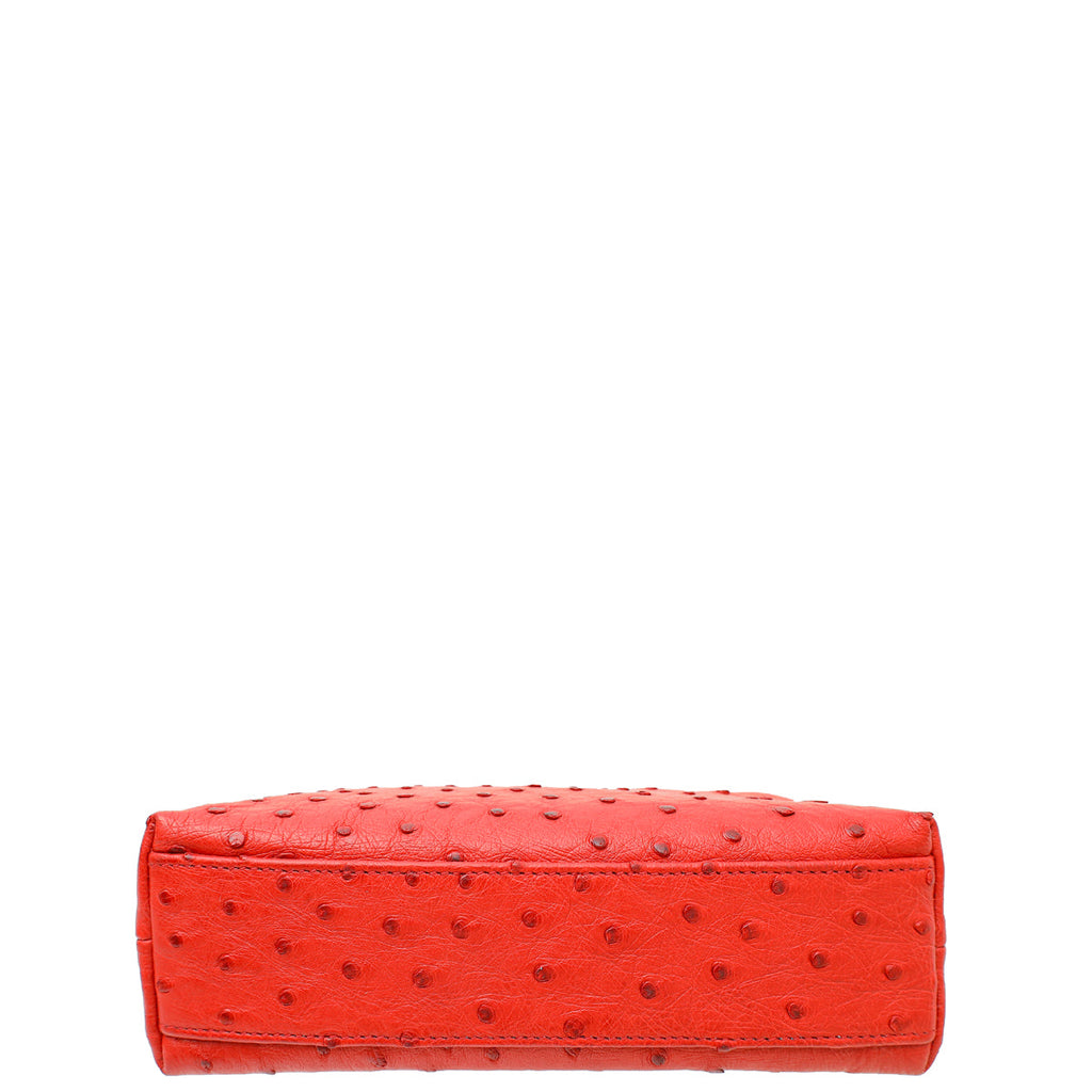 Loro Piana Red Ostrich L19 Pouch