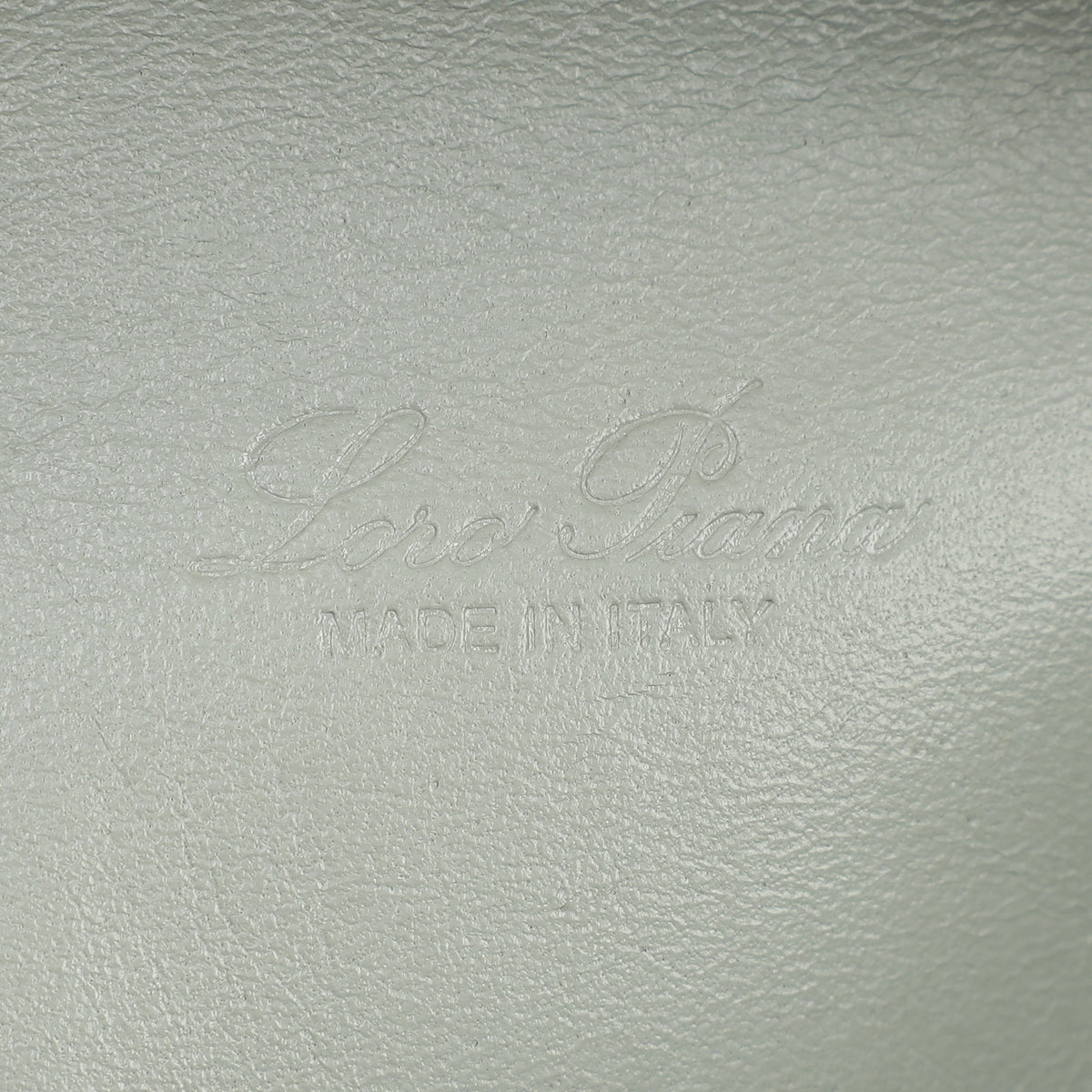 Loro Piana Sage Brush Leaves Extra Pocket L19 Bag