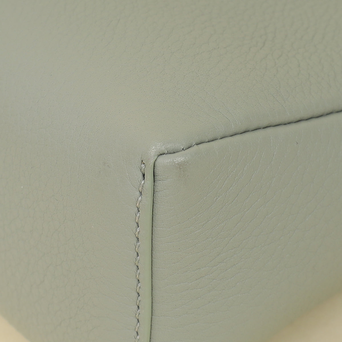 Loro Piana Sage Brush Leaves Extra Pocket L19 Bag