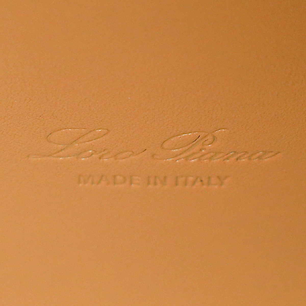 Loro Piana Neutral Extra Bag L27 Bag