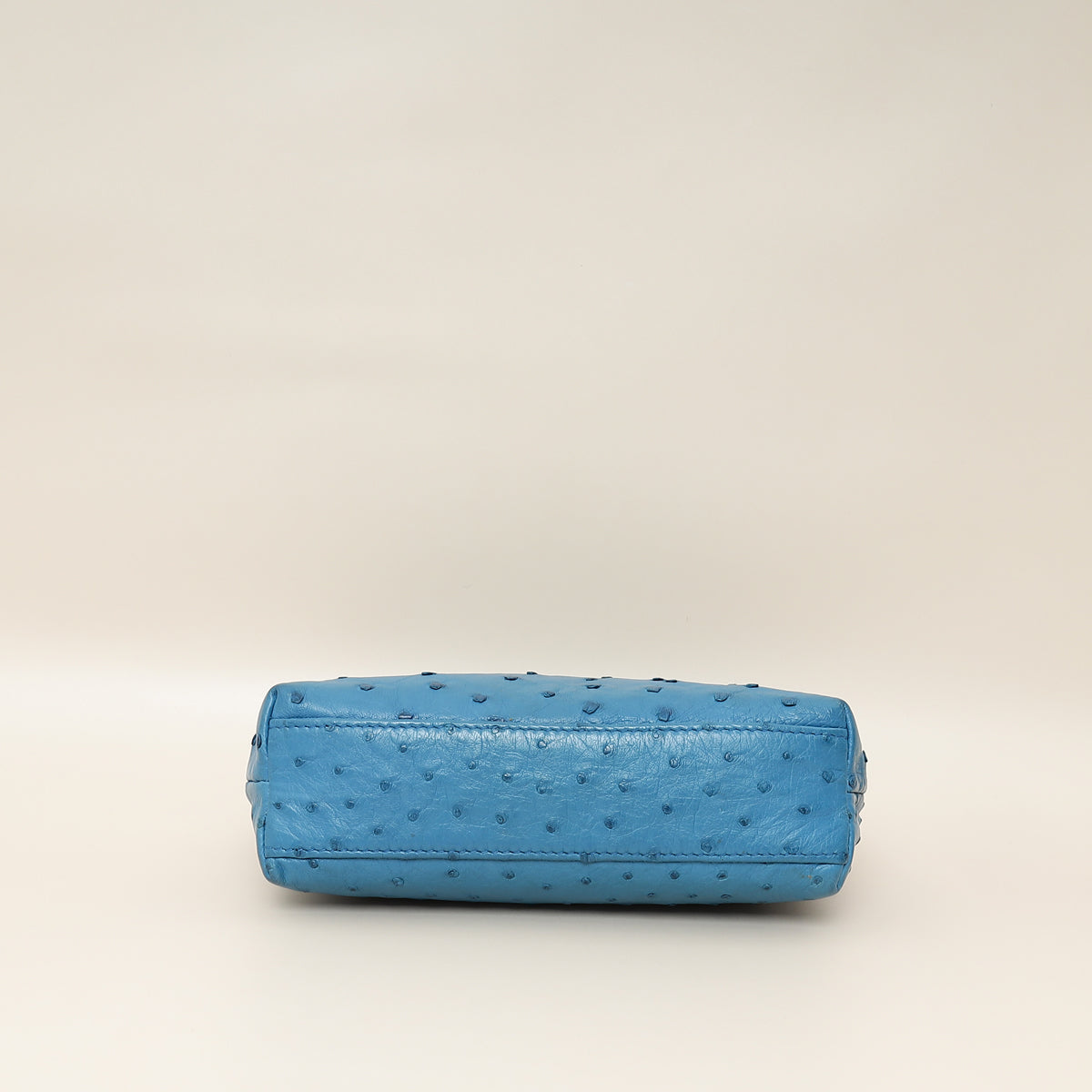 Loro Piana Blue Ostrich Extra Pocket L19 Bag