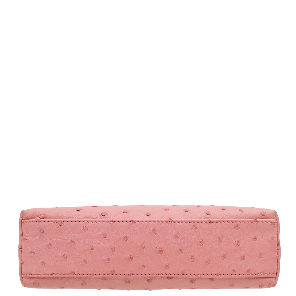 Loro Piana Pink Ostrich L19 Pouch Bag W/ Twilly
