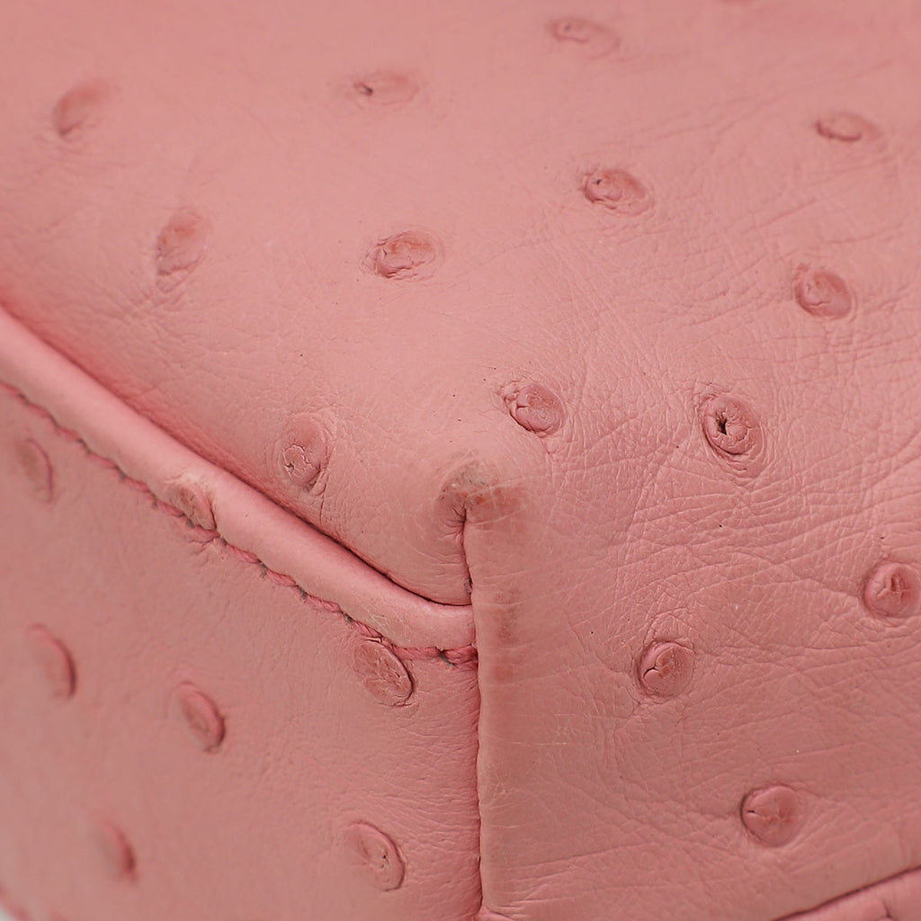 Loro Piana Pink Ostrich L19 Pouch Bag W/ Twilly