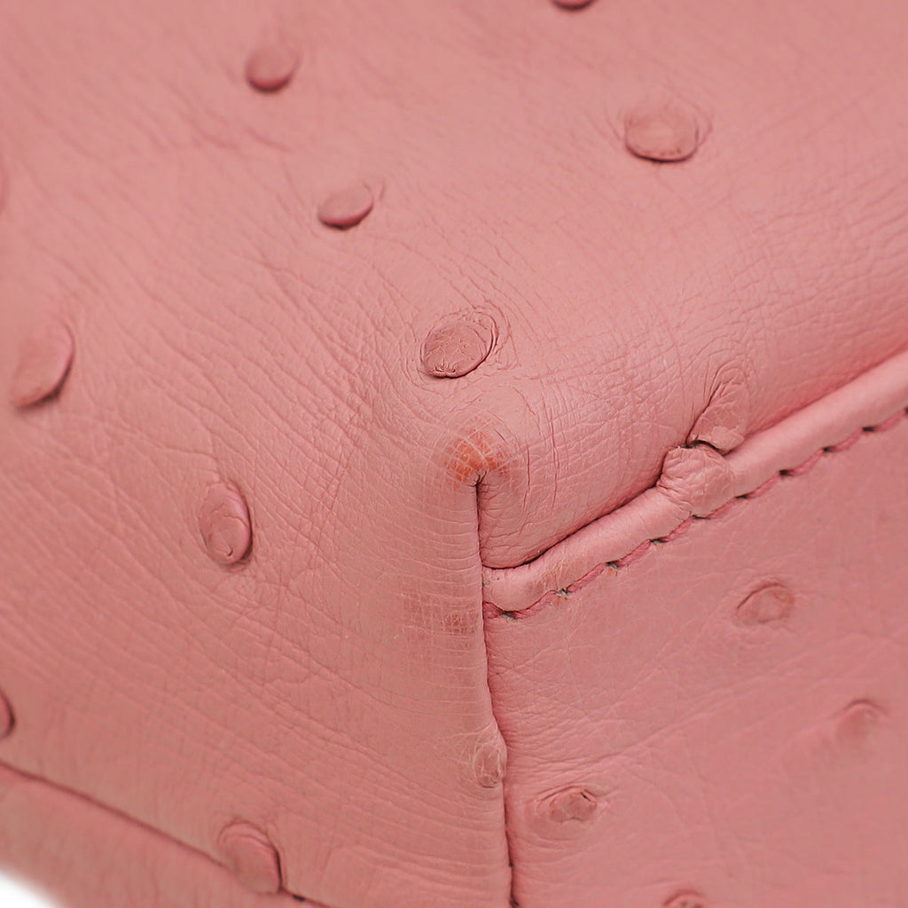Loro Piana Pink Ostrich L19 Pouch Bag W/ Twilly