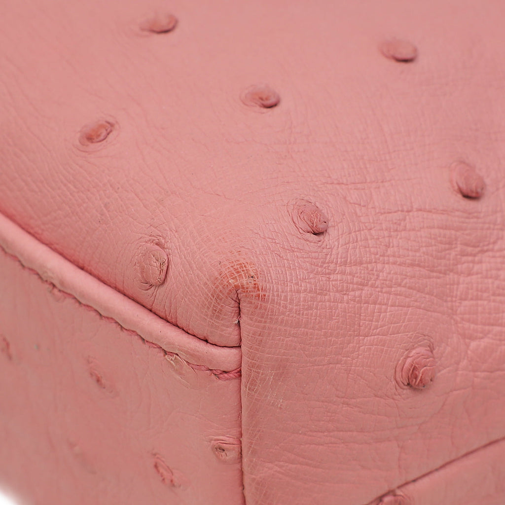Loro Piana Pink Ostrich L19 Pouch Bag W/ Twilly