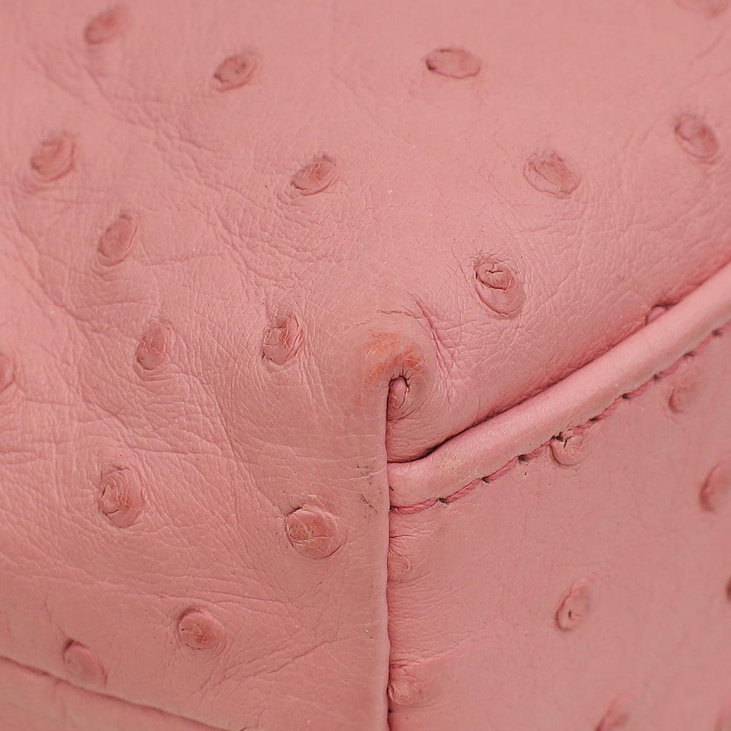 Loro Piana Pink Ostrich L19 Pouch Bag W/ Twilly