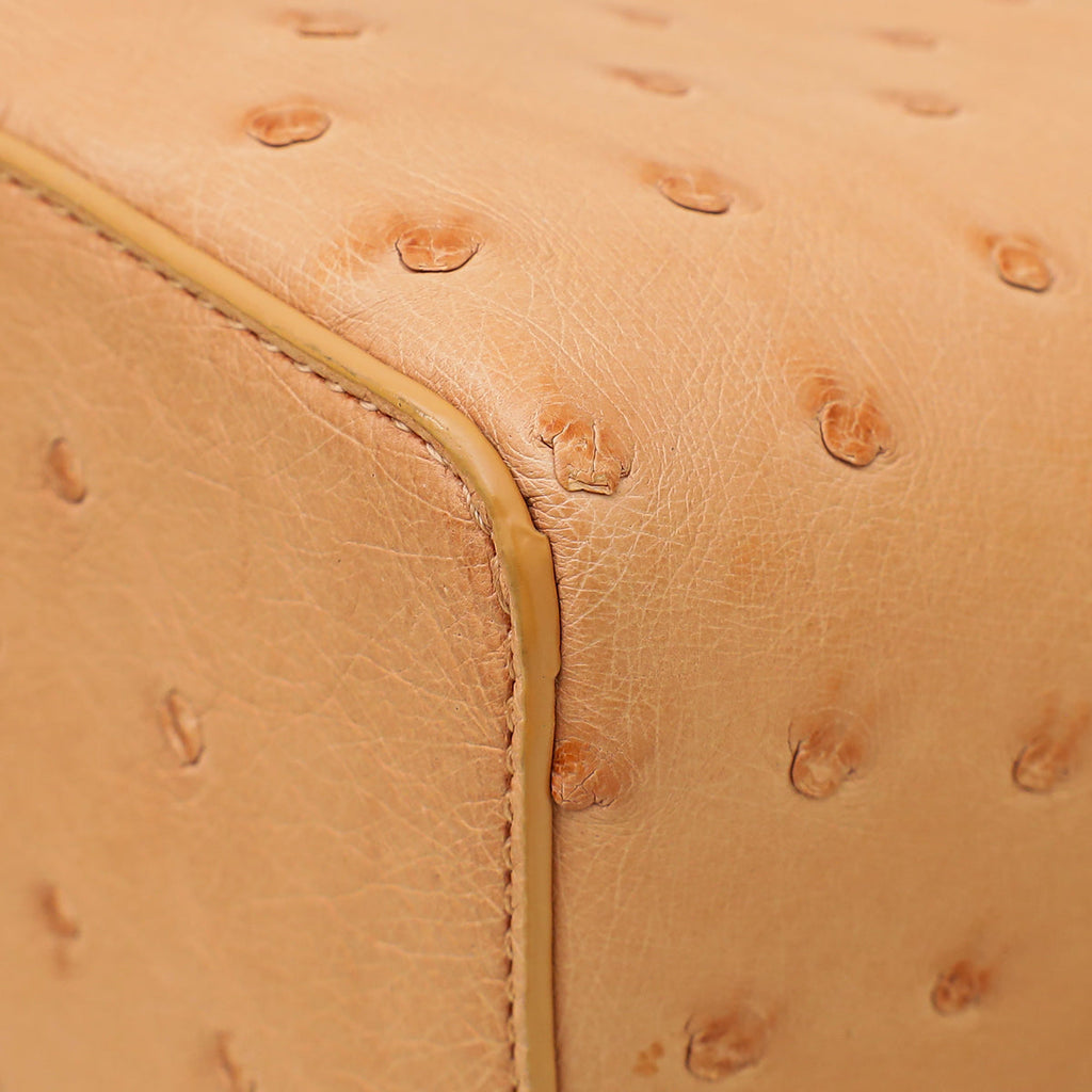 Loro Piana Ophelia Skin Ostrich Extra Pocket 27 Pouch