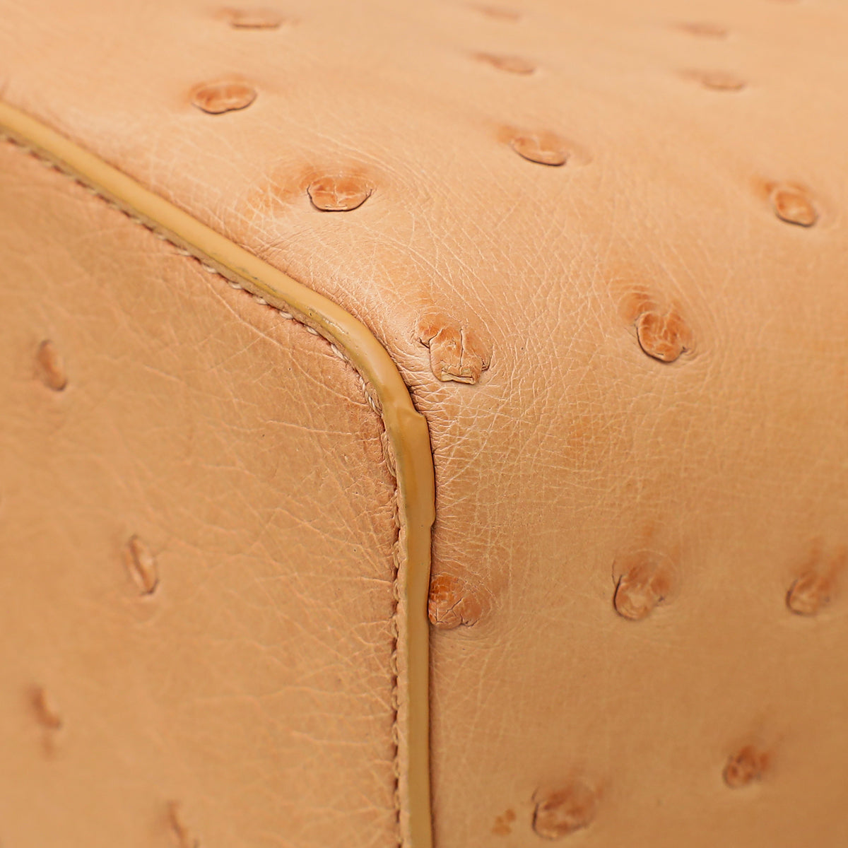 Loro Piana Ophelia Skin Ostrich Extra Pocket 27 Pouch