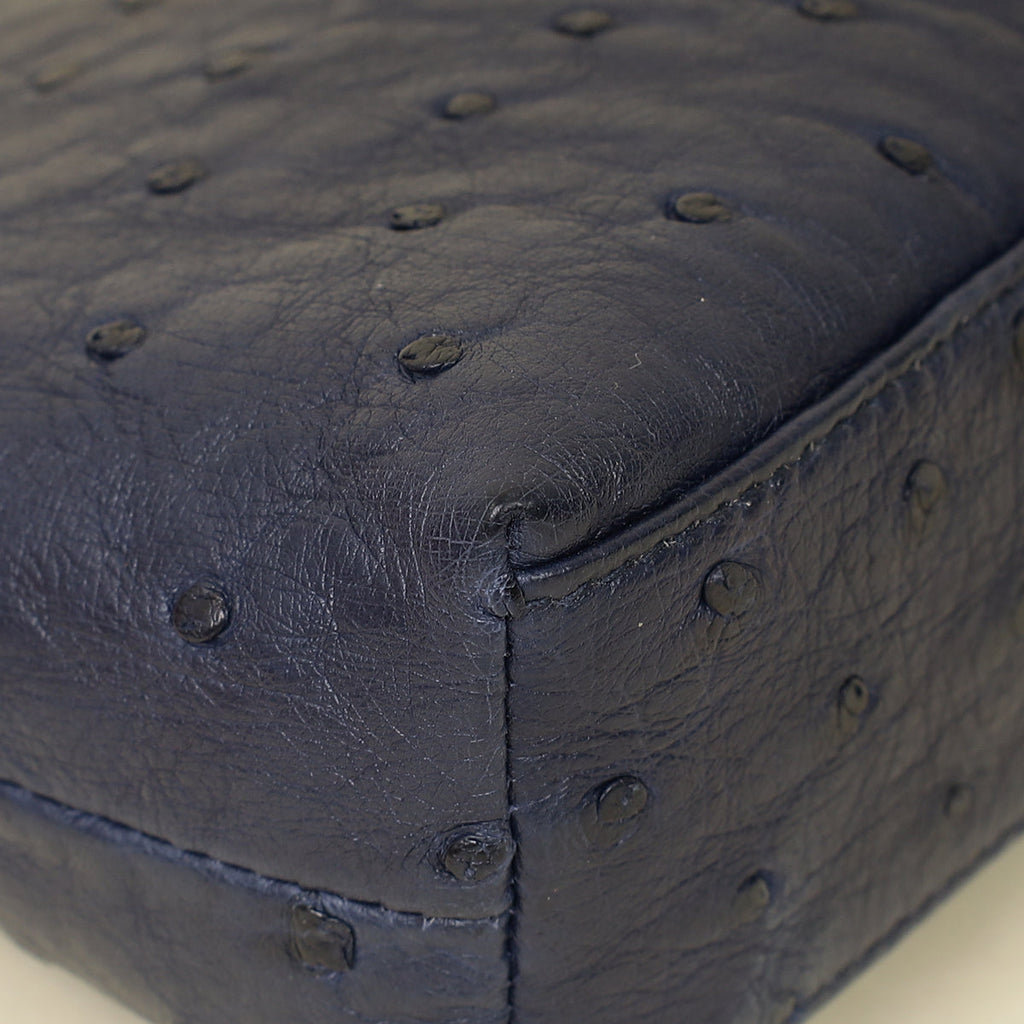 Loro Piana Blue Ostrich L19 Pouch