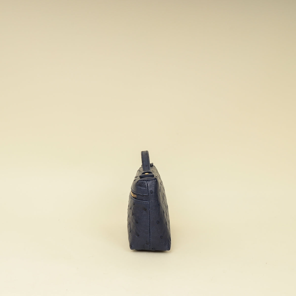 Loro Piana Blue Ostrich L19 Pouch