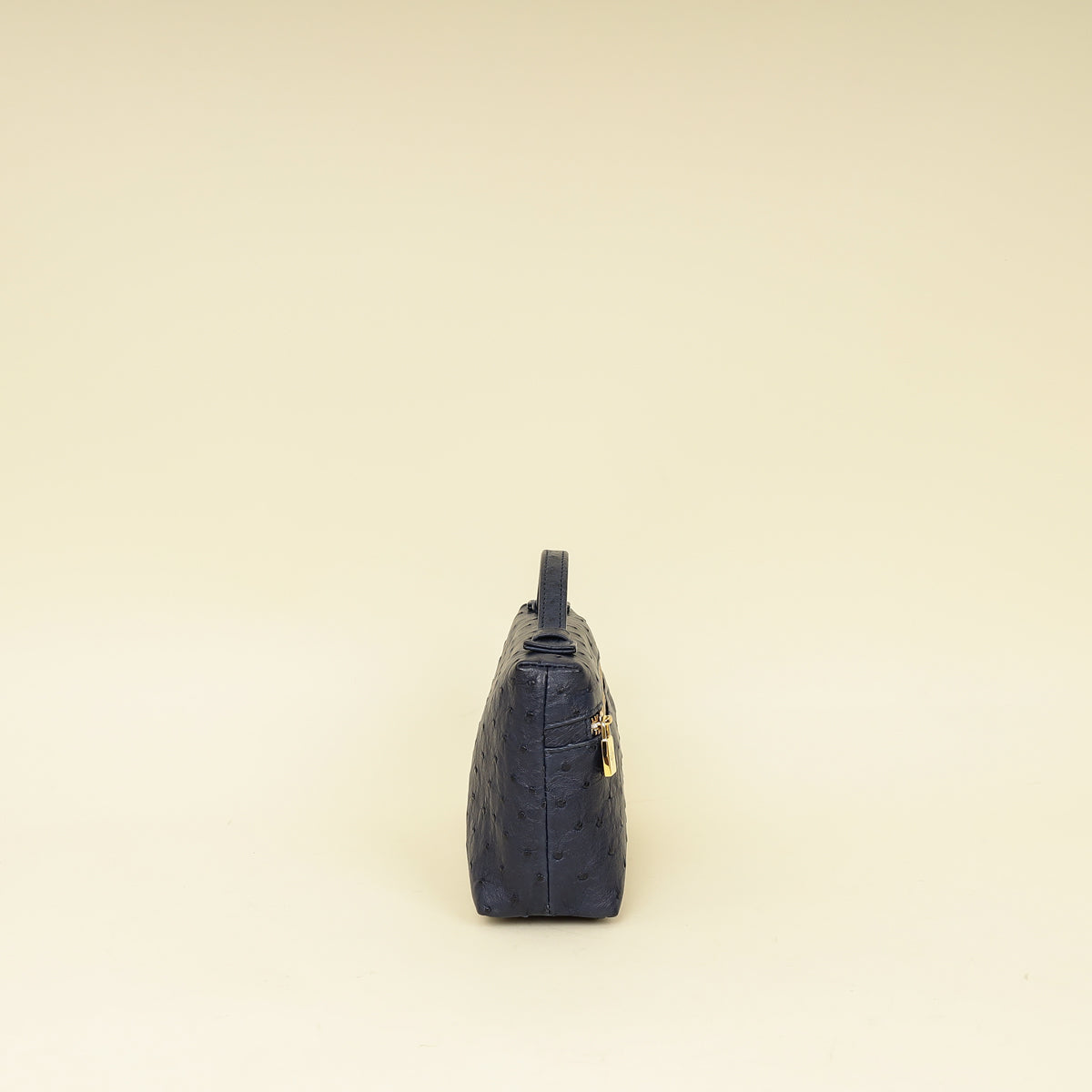Loro Piana Blue Ostrich L19 Pouch