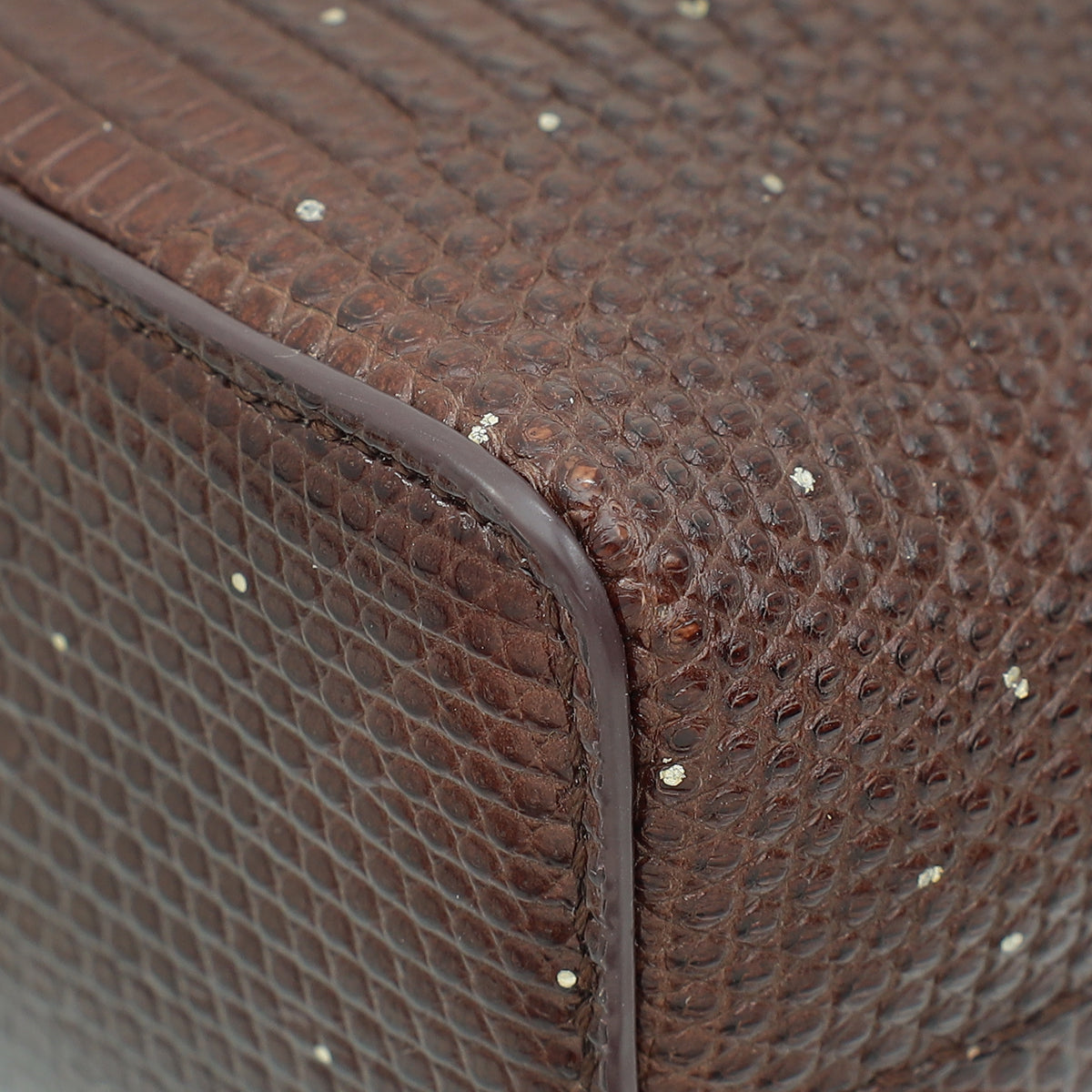 Loro Piana Dark Brown Lizard Extra Pocket L19 Pouch