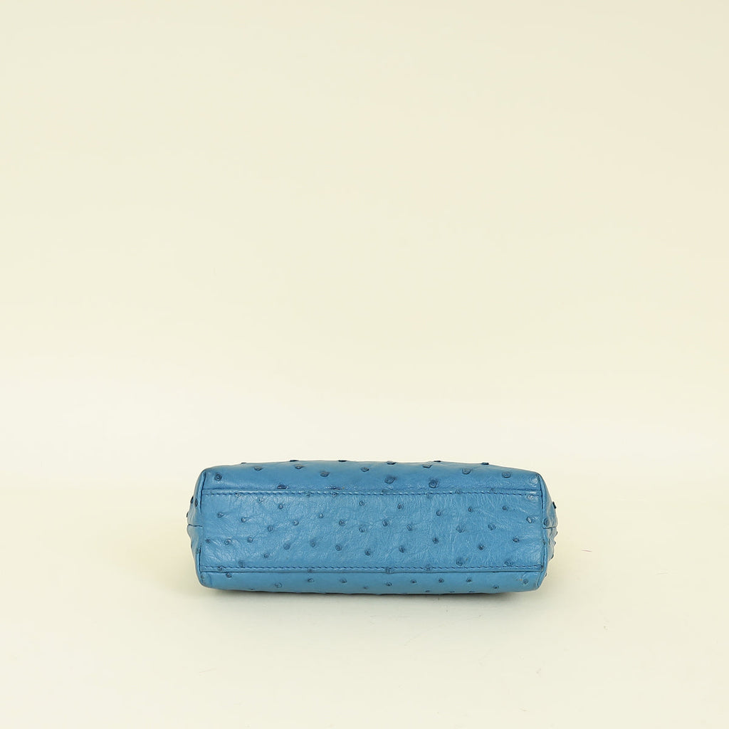 Loro Piana Blue Ostrich L19 Extra Pocket Pouch