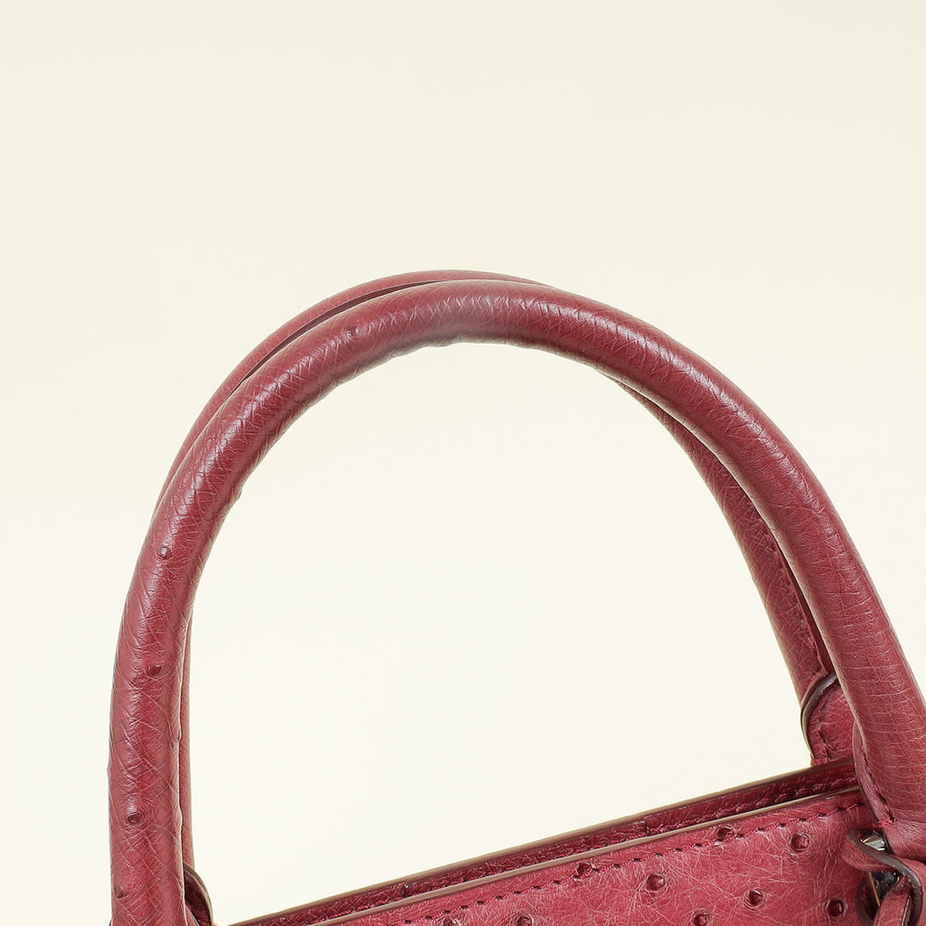 Loro Piana Burgundy Ostrich Handle Bag