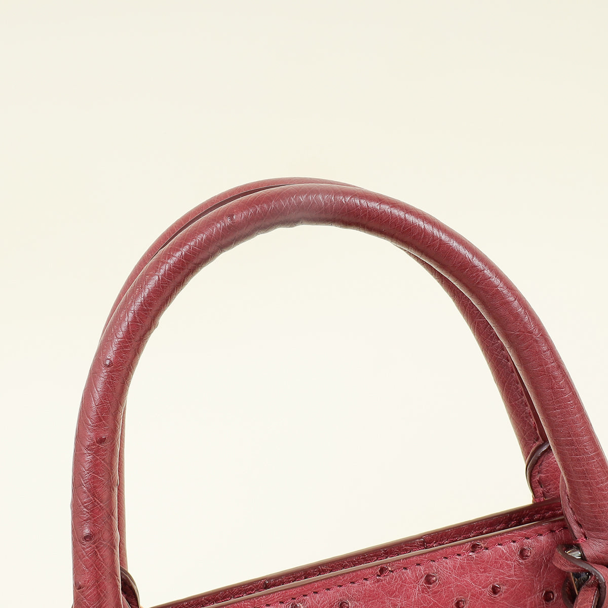 Loro Piana Burgundy Ostrich Handle Bag