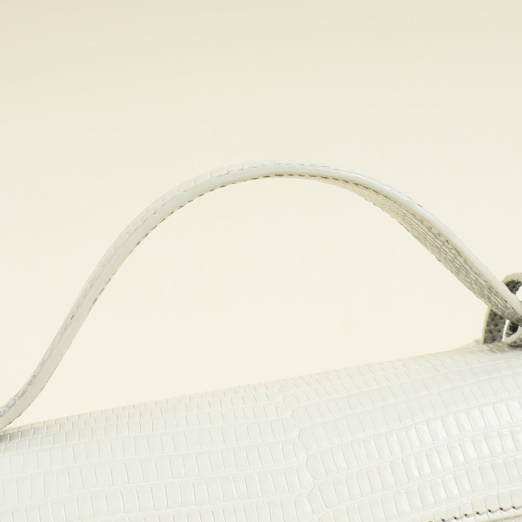 Loro Piana Bicolor Himalayan Lizard Extra Bag L23