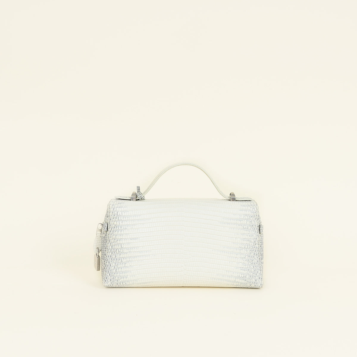 Loro Piana Bicolor Himalayan Lizard Extra Bag L23