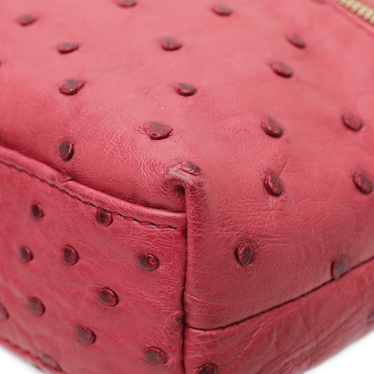 Loro Piana Light Pomegranate Ostrich L19 Pouch Bag