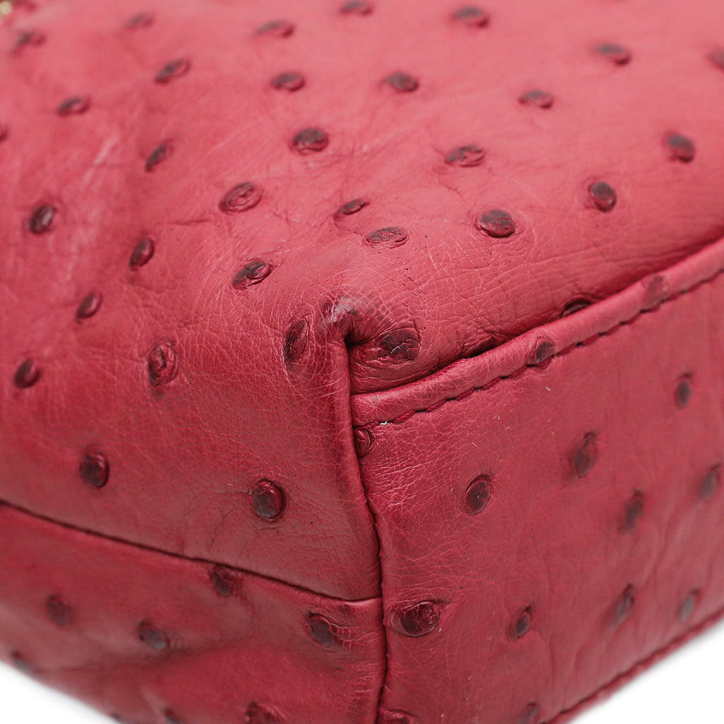 Loro Piana Light Pomegranate Ostrich L19 Pouch Bag