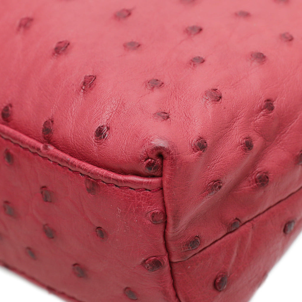 Loro Piana Light Pomegranate Ostrich L19 Pouch Bag