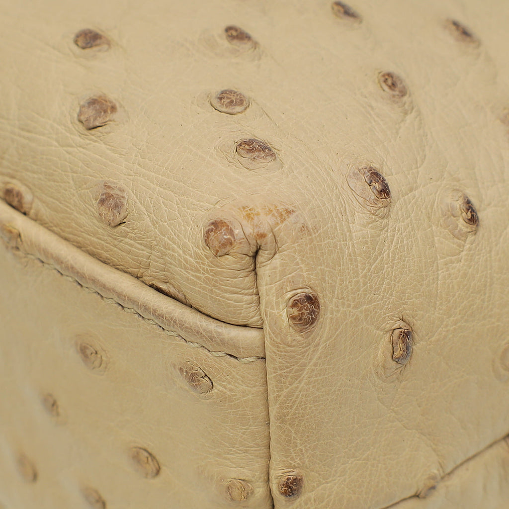 Loro Piana Beige Ostrich L19 Extra Pouch