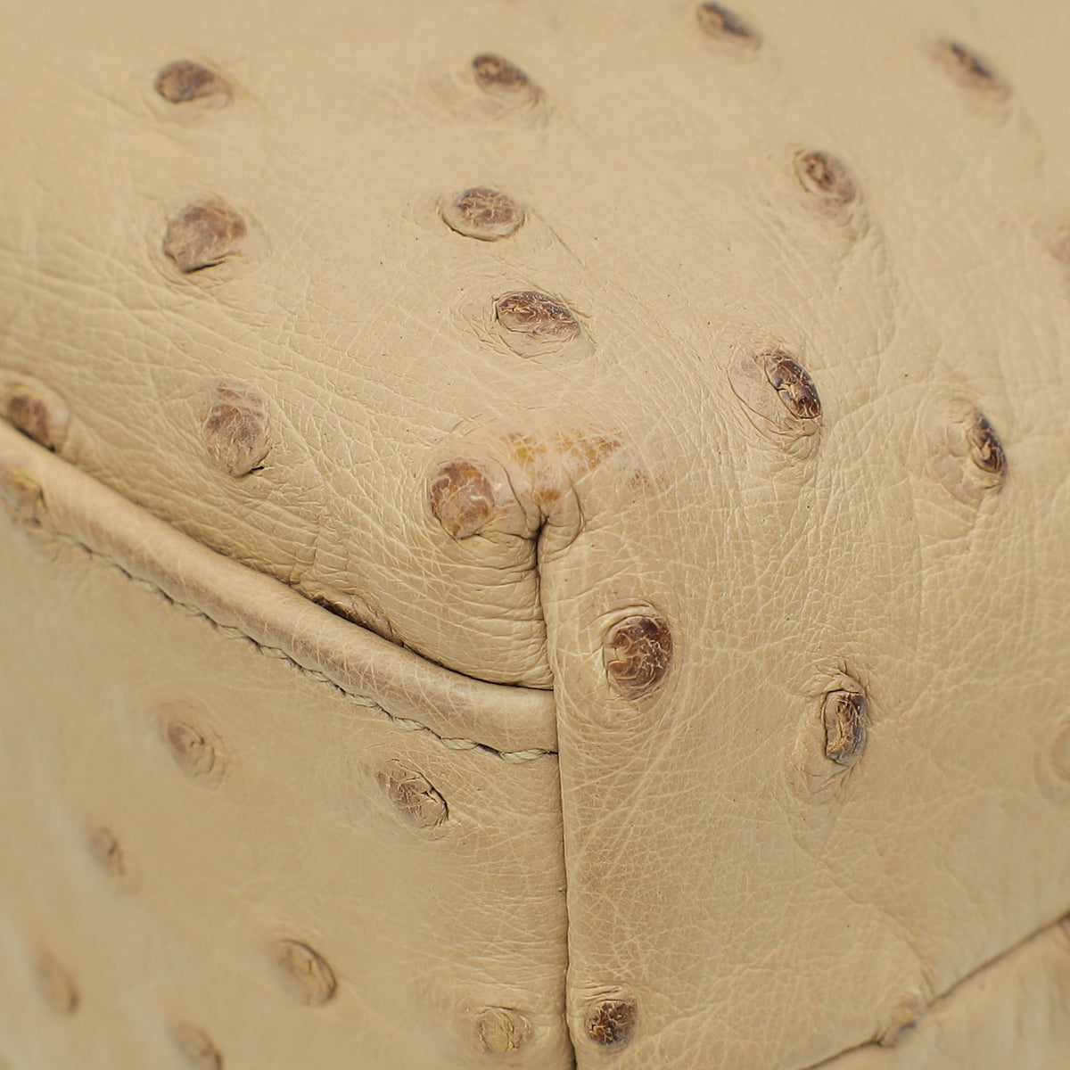 Loro Piana Beige Ostrich L19 Extra Pouch