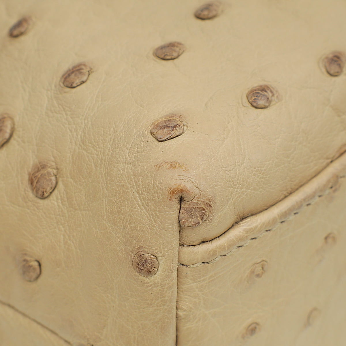Loro Piana Beige Ostrich L19 Extra Pouch