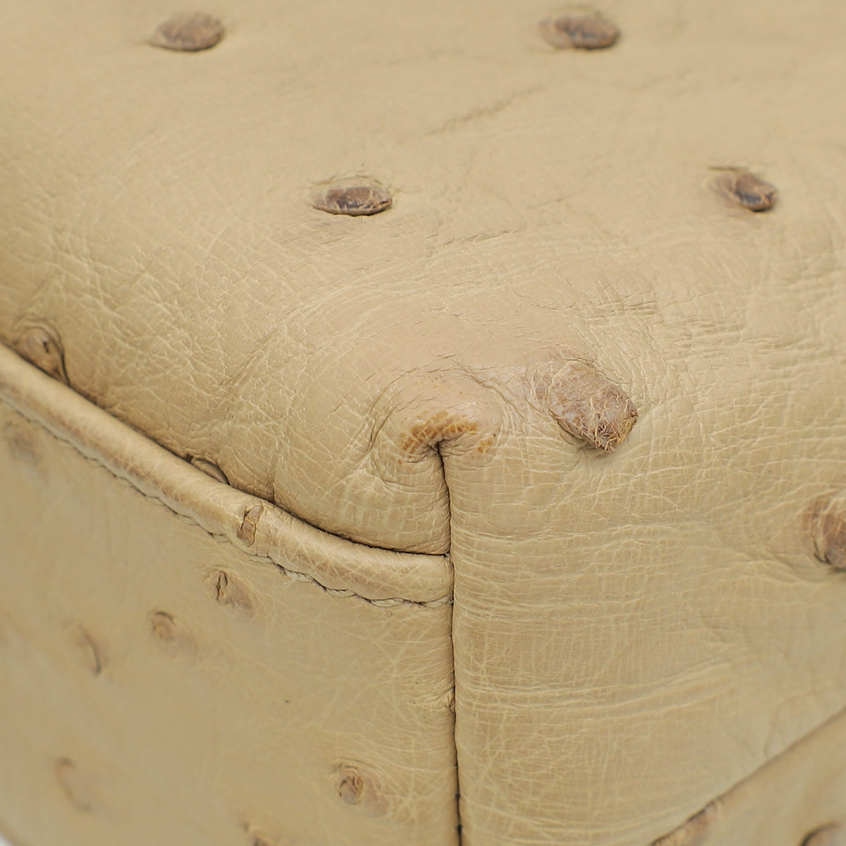 Loro Piana Beige Ostrich L19 Extra Pouch