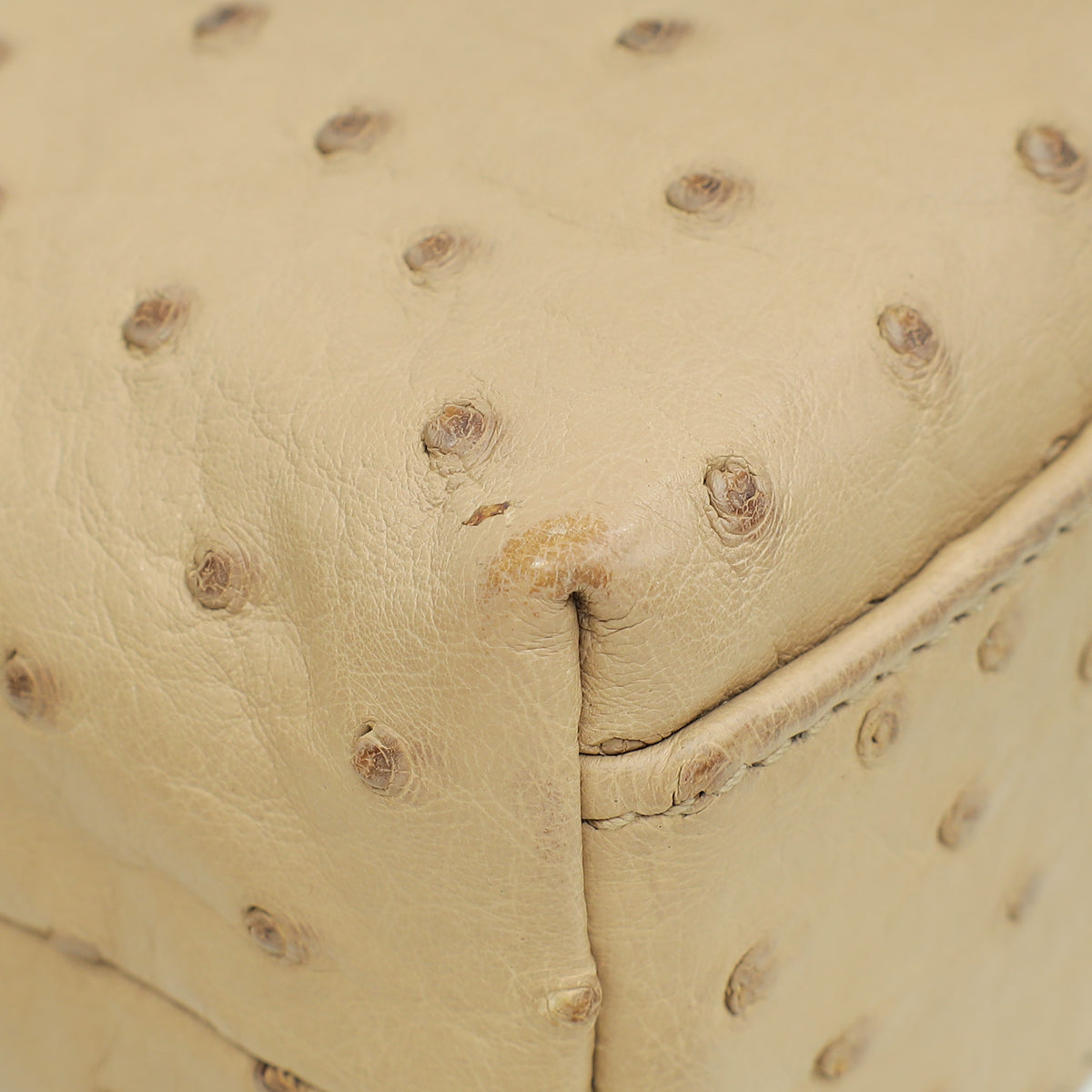 Loro Piana Beige Ostrich L19 Extra Pouch