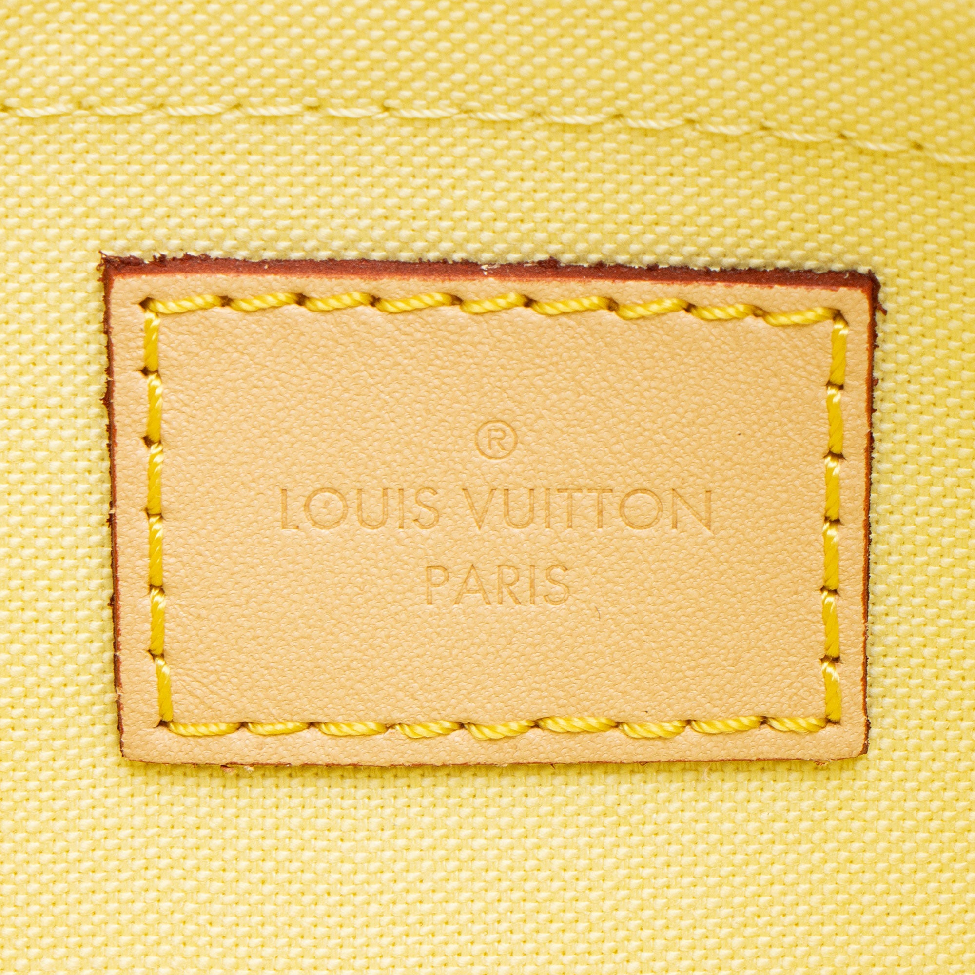 Louis Vuittom Damierlicious Neverfull MM Pochette