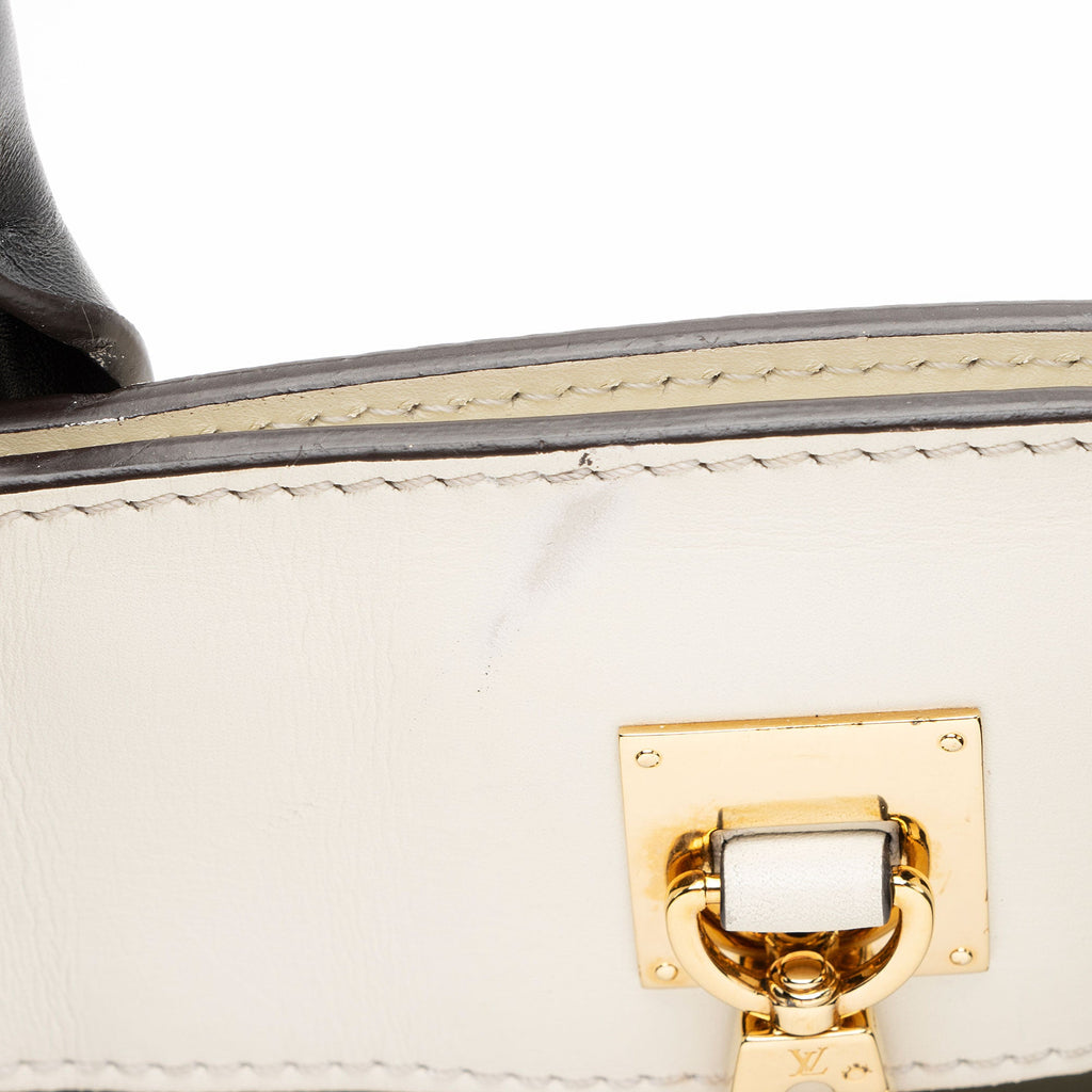 Louis Vuitton Calfskin City Steamer MM Tote