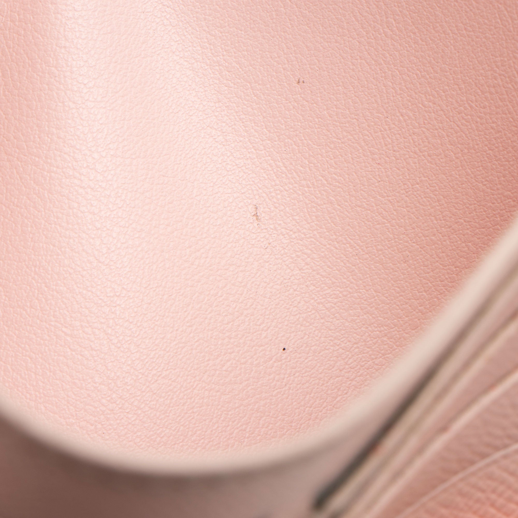 Louis Vuitton Calfskin Felicie Insert