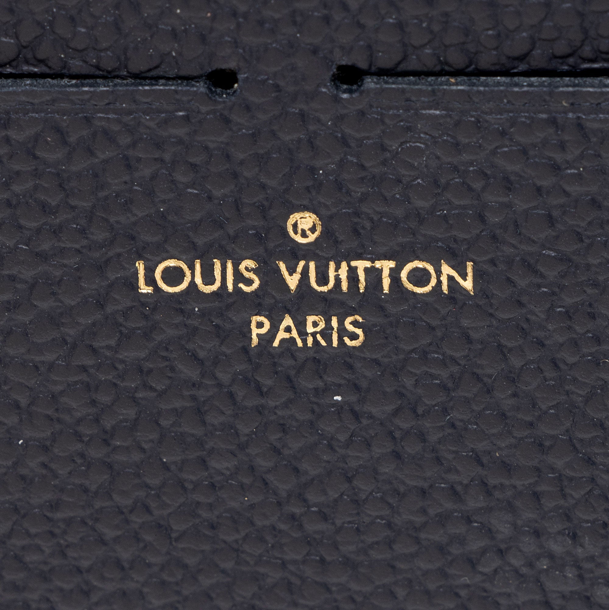 Louis Vuitton Calfskin Felicie Insert