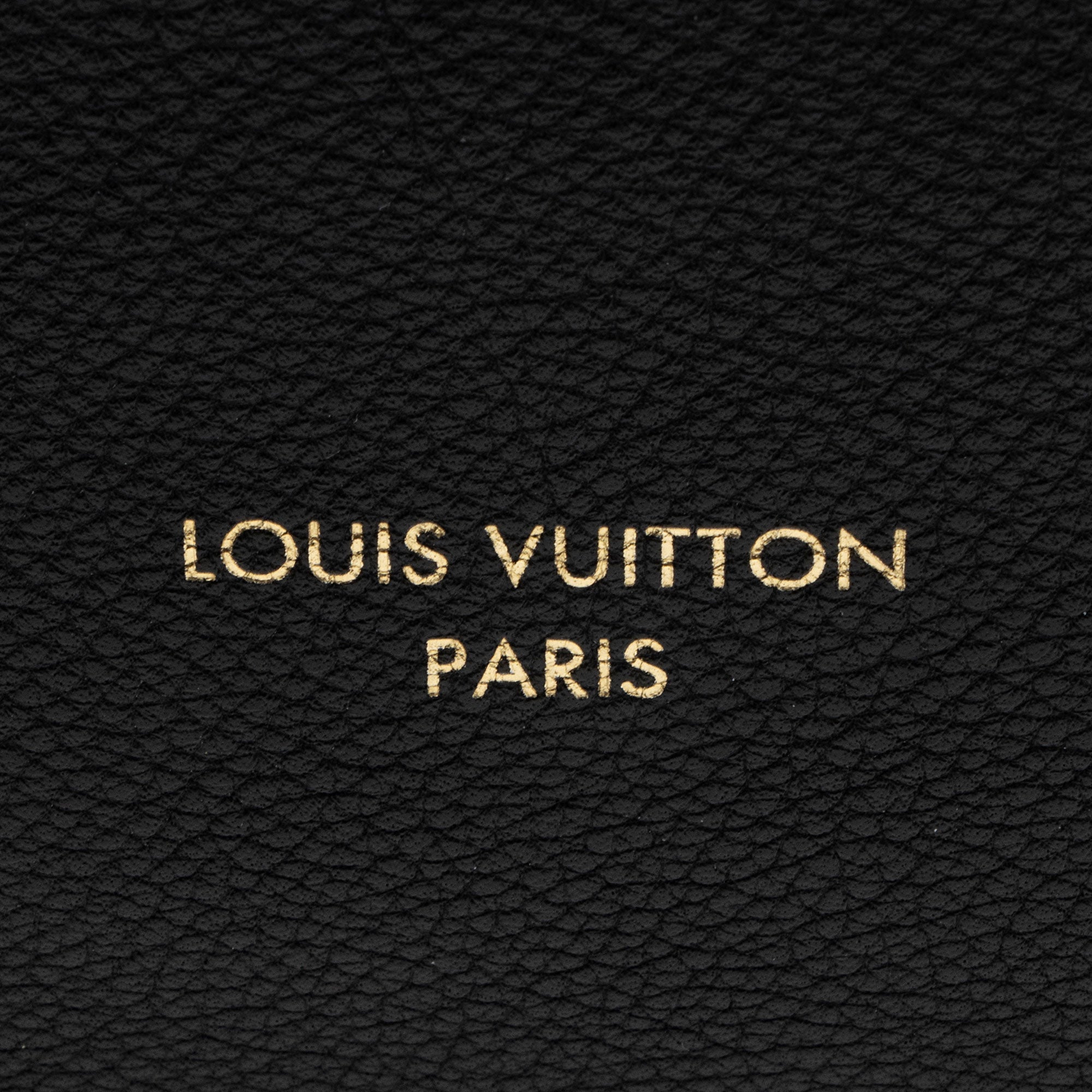 Louis Vuitton Calfskin Low Key MM Hobo