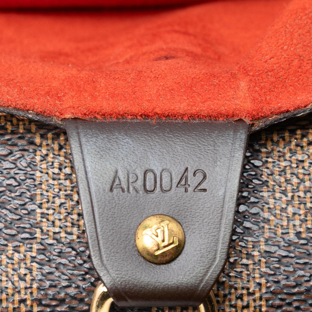 Louis Vuitton Damier Ebene Parioli PM
