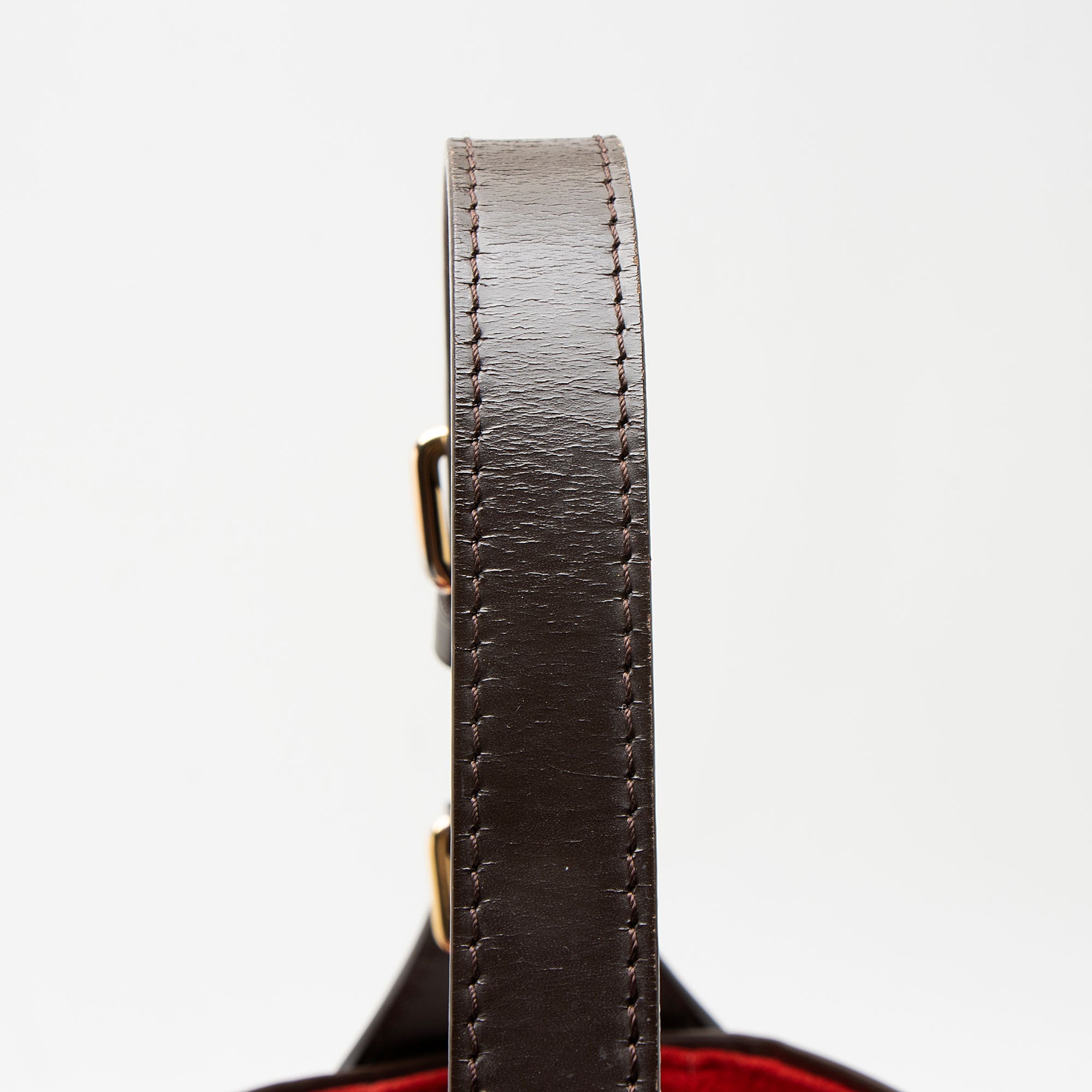 Louis Vuitton Damier Ebene Reggia Hobo