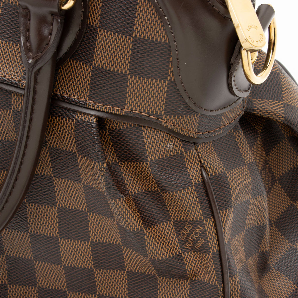Louis Vuitton Damier Ebene Trevi PM Satchel