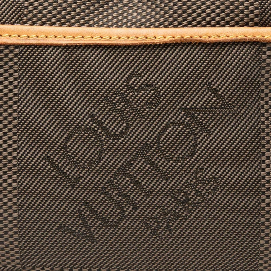Louis Vuitton Damier Geant Acrobat