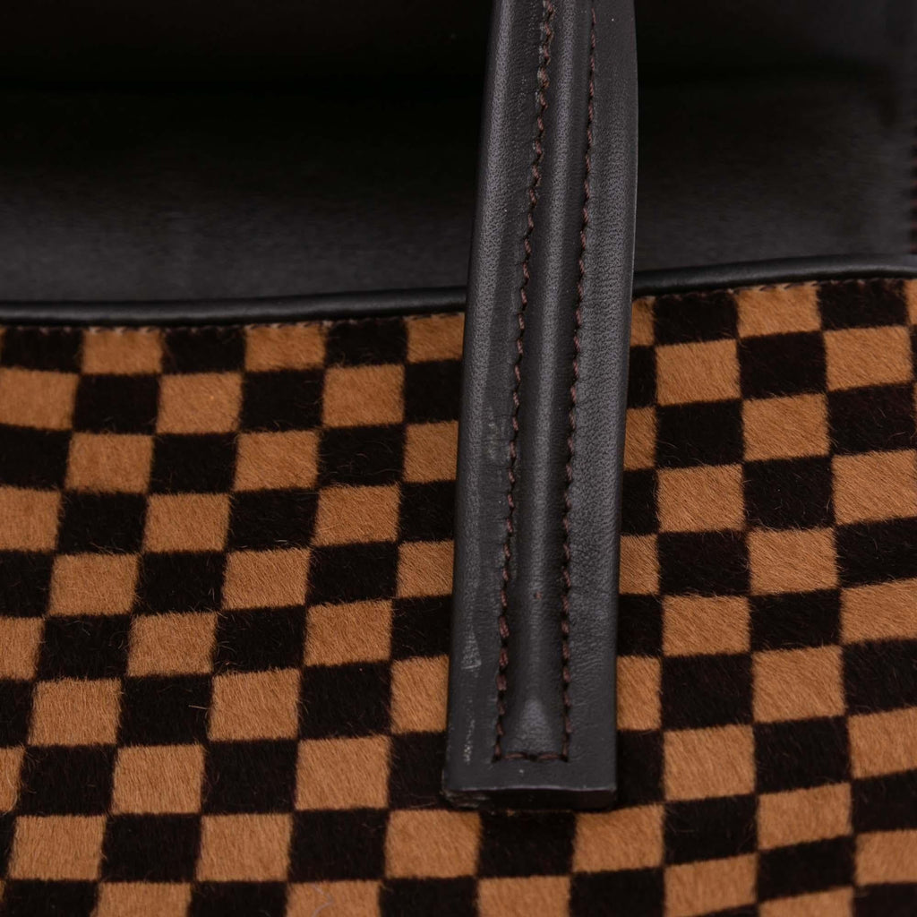 Louis Vuitton Damier Sauvage Lionne