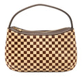 Louis Vuitton Damier Sauvage Tigre