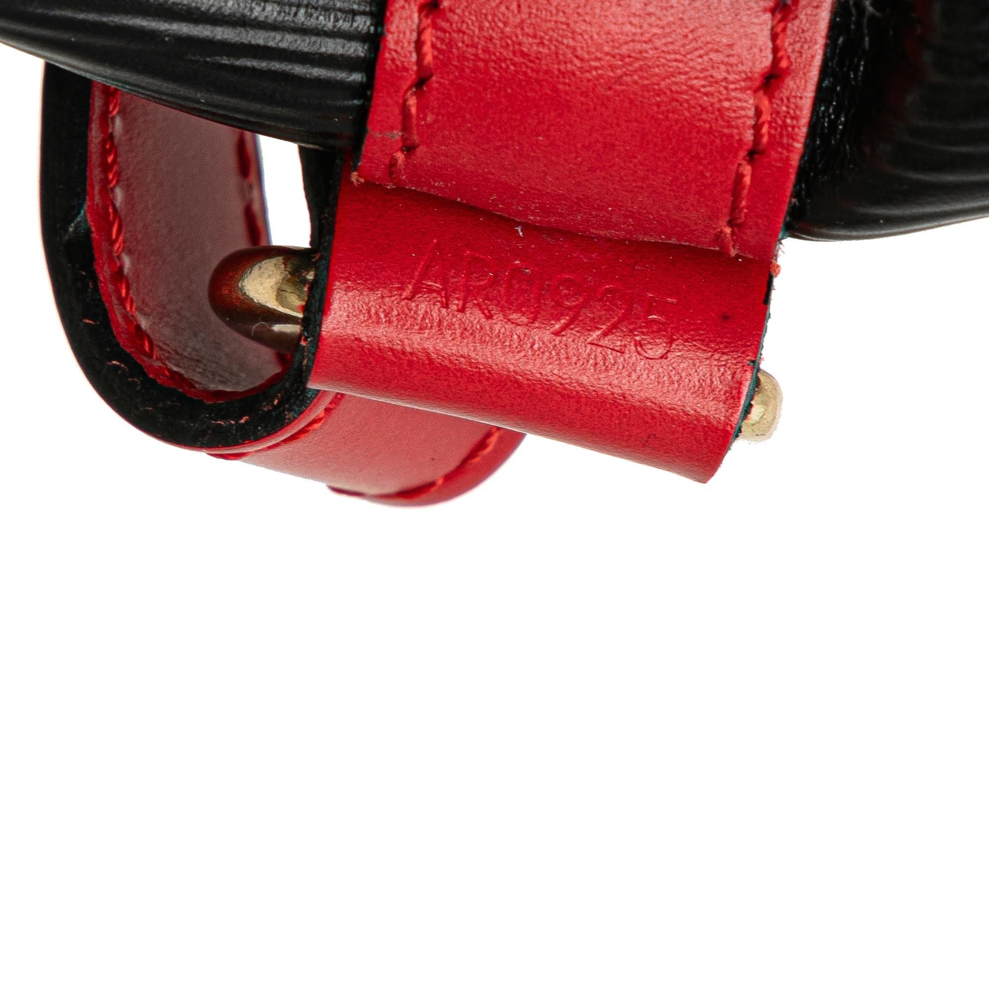Louis Vuitton Epi Bicolor Noe GM